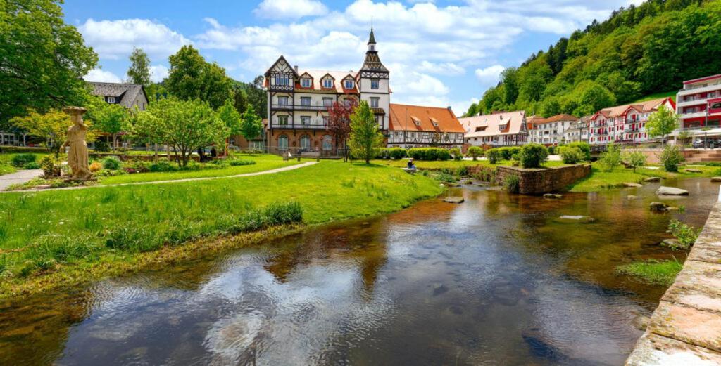 Апартаменты Haus Elsenbruch Бад-Херренальб Экстерьер фото